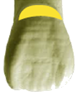 NAKACHO DENTAL OFFICE(中長デンタルオフィス|南森町から徒歩4分にある歯科)マイクロエンド