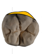 NAKACHO DENTAL OFFICE(中長デンタルオフィス|南森町から徒歩4分にある歯科)マイクロエンド